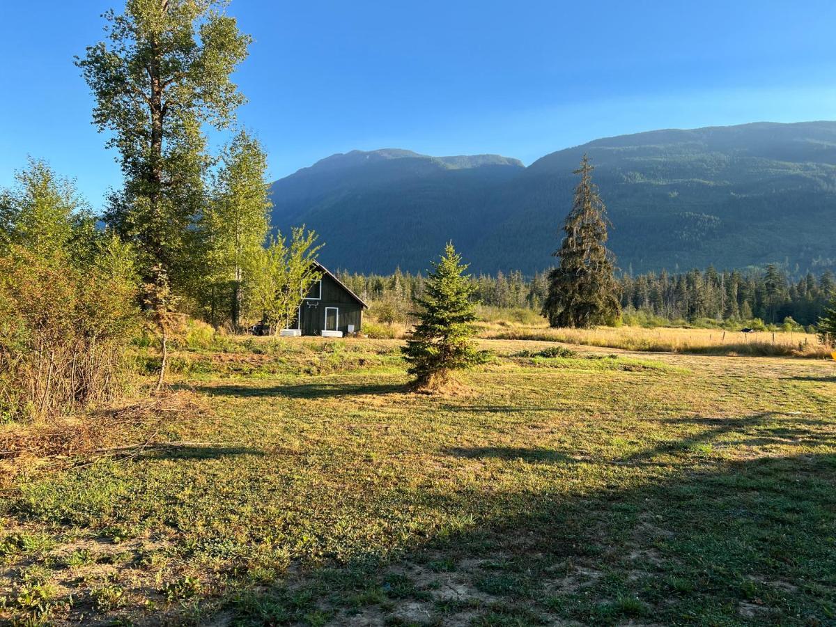 Country Home, Sleeps 6 Pets Friendly Port Alberni Exteriör bild